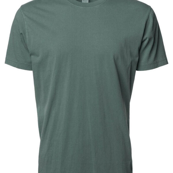 Unisex Premium T-Shirt Thumbnail