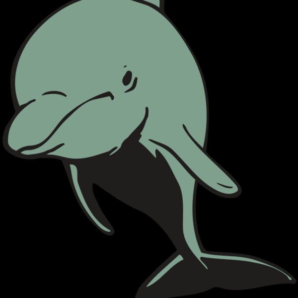 AR DOLPIN 11 RC Thumbnail