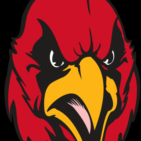 BAW CARDINAL 11 RC Thumbnail