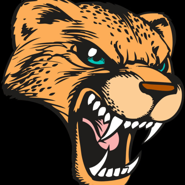 BAW CHEETAH 19 RC Thumbnail