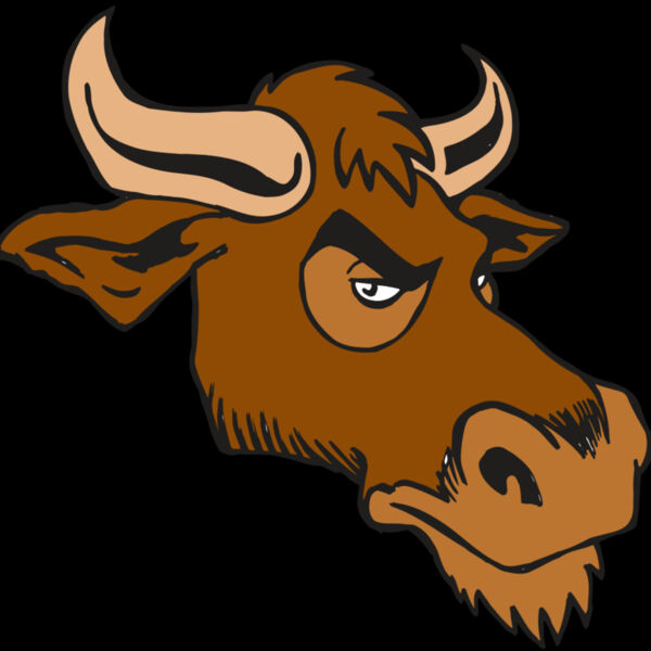 AR5 Bull 06 RQC Thumbnail