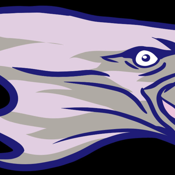 AR15 EAGLE 01 RQC Thumbnail