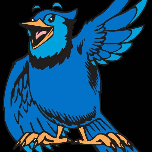 BAW BLUEJAY 06 RC Thumbnail