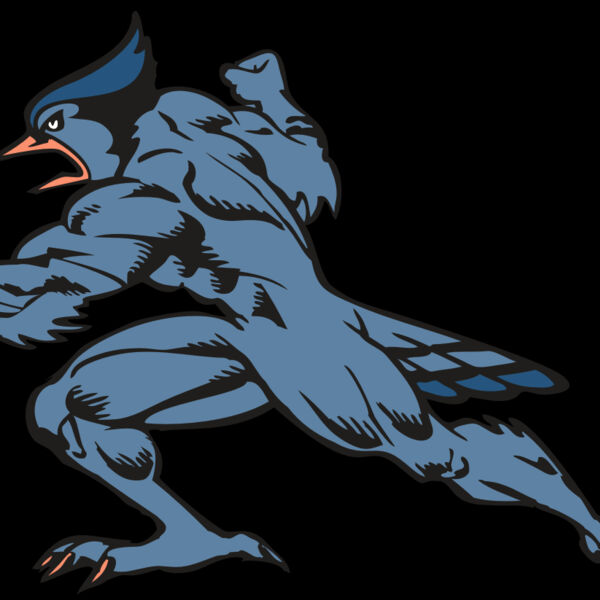 BAW BLUEJAY 15 RC Thumbnail