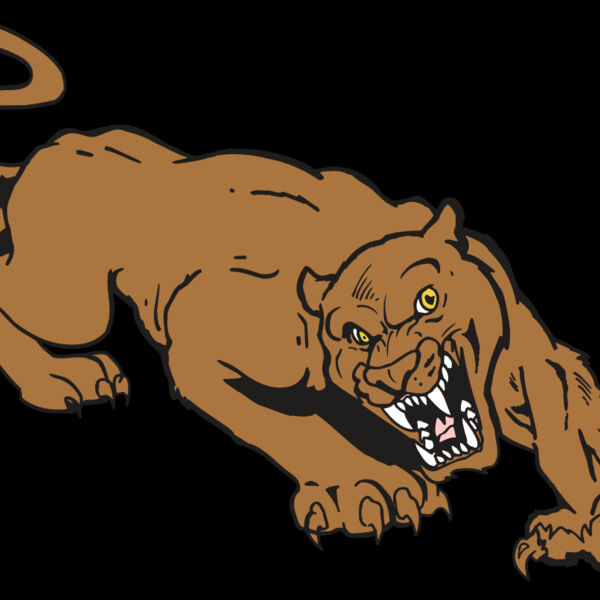 AR5 COUGAR 41 RQC Thumbnail