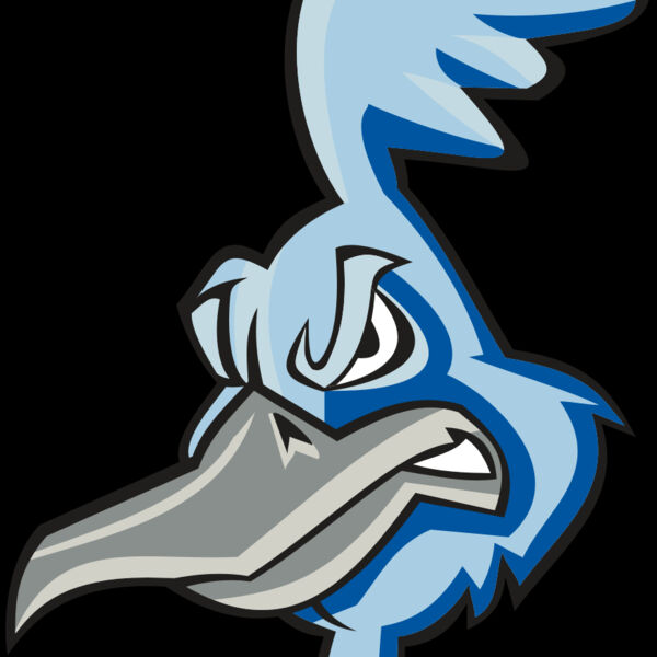 ROADRUNNER HD0501 RQC Thumbnail