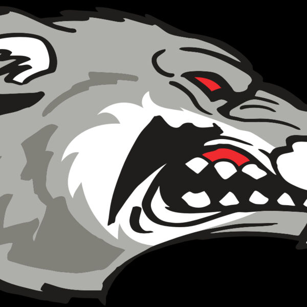 AR WOLVERINE 13 RC Thumbnail