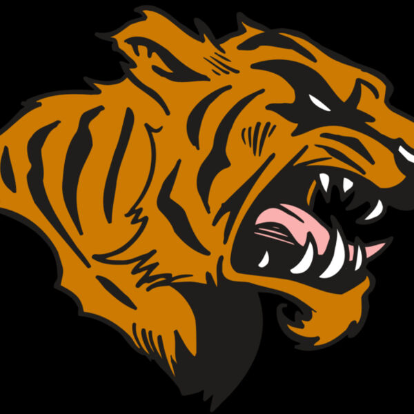 AR5 TIGER 08 RQC Thumbnail