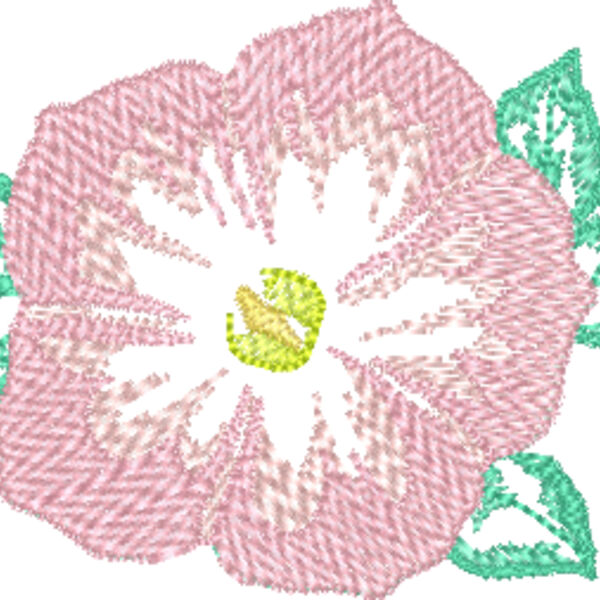 FP048 Thumbnail