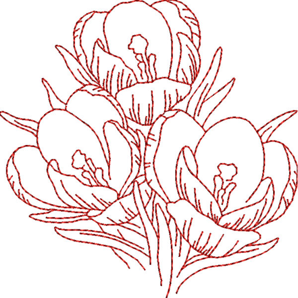 FP161 Thumbnail