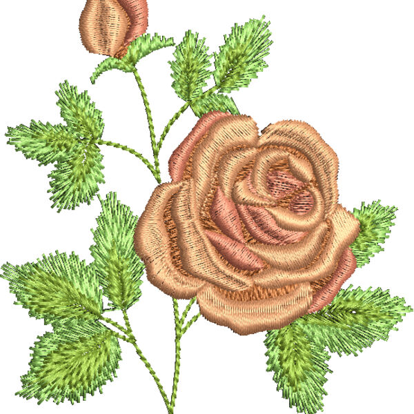 NB085 48 Thumbnail