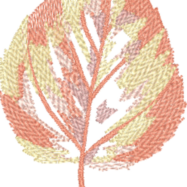 FP050 Thumbnail