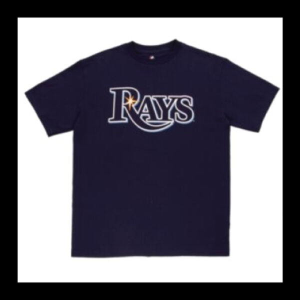 Tampa Bay Rays Thumbnail