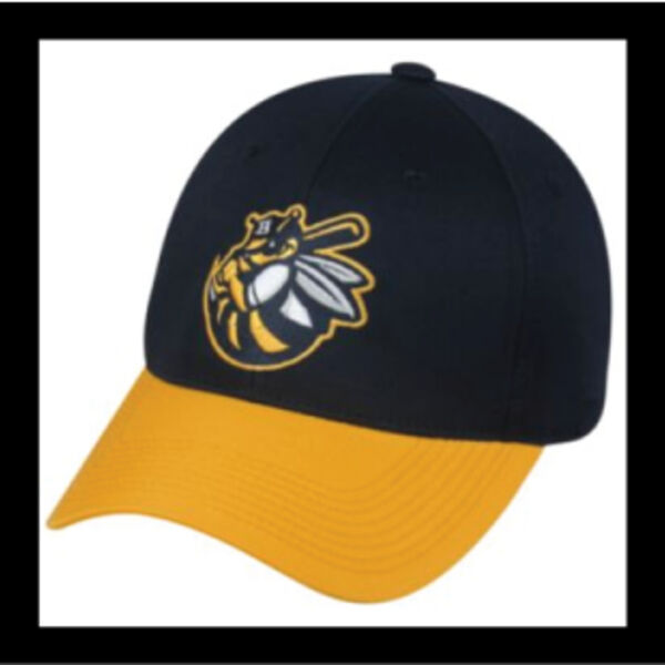 Burlington Bees Thumbnail