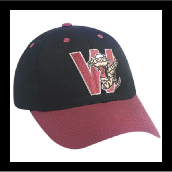 Wisconsin Timber Rattlers Thumbnail