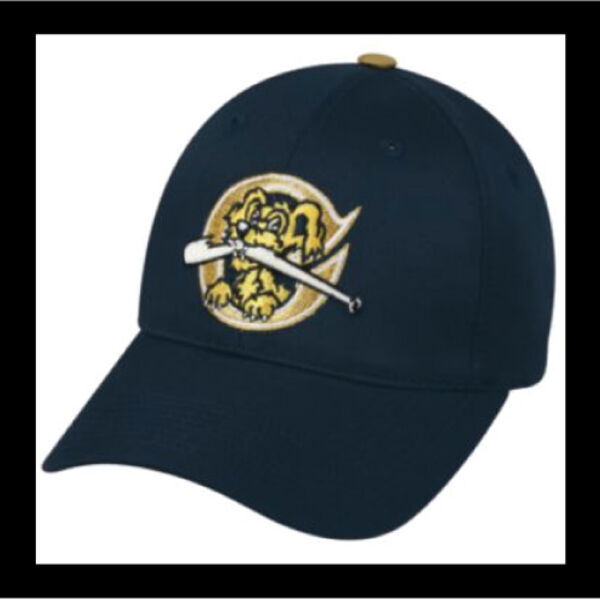 Charleston Riverdogs Thumbnail