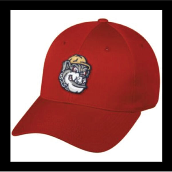 Mahoning Valley Scrappers Thumbnail