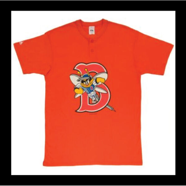 Binghamton Mets Thumbnail