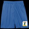 Sport Tek Youth Mesh Short Thumbnail