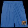 Sport Tek Youth Mesh Short Thumbnail