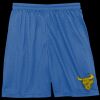 Sport Tek Youth Mesh Short Thumbnail