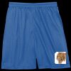 Sport Tek Youth Mesh Short Thumbnail