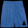 Sport Tek Youth Mesh Short Thumbnail