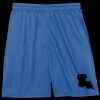 Sport Tek Youth Mesh Short Thumbnail